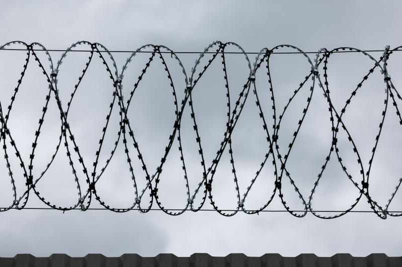    Фото: Sergey Elagin/globallookpress