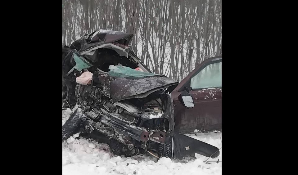    ДТП в Новосибирской области. Источник: МВД Новосибирской области