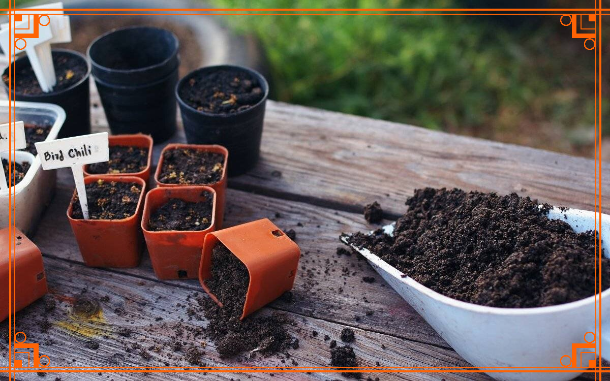 Фото из Интернета. грунт для рассады томатов, цветов, огурцов, перцев