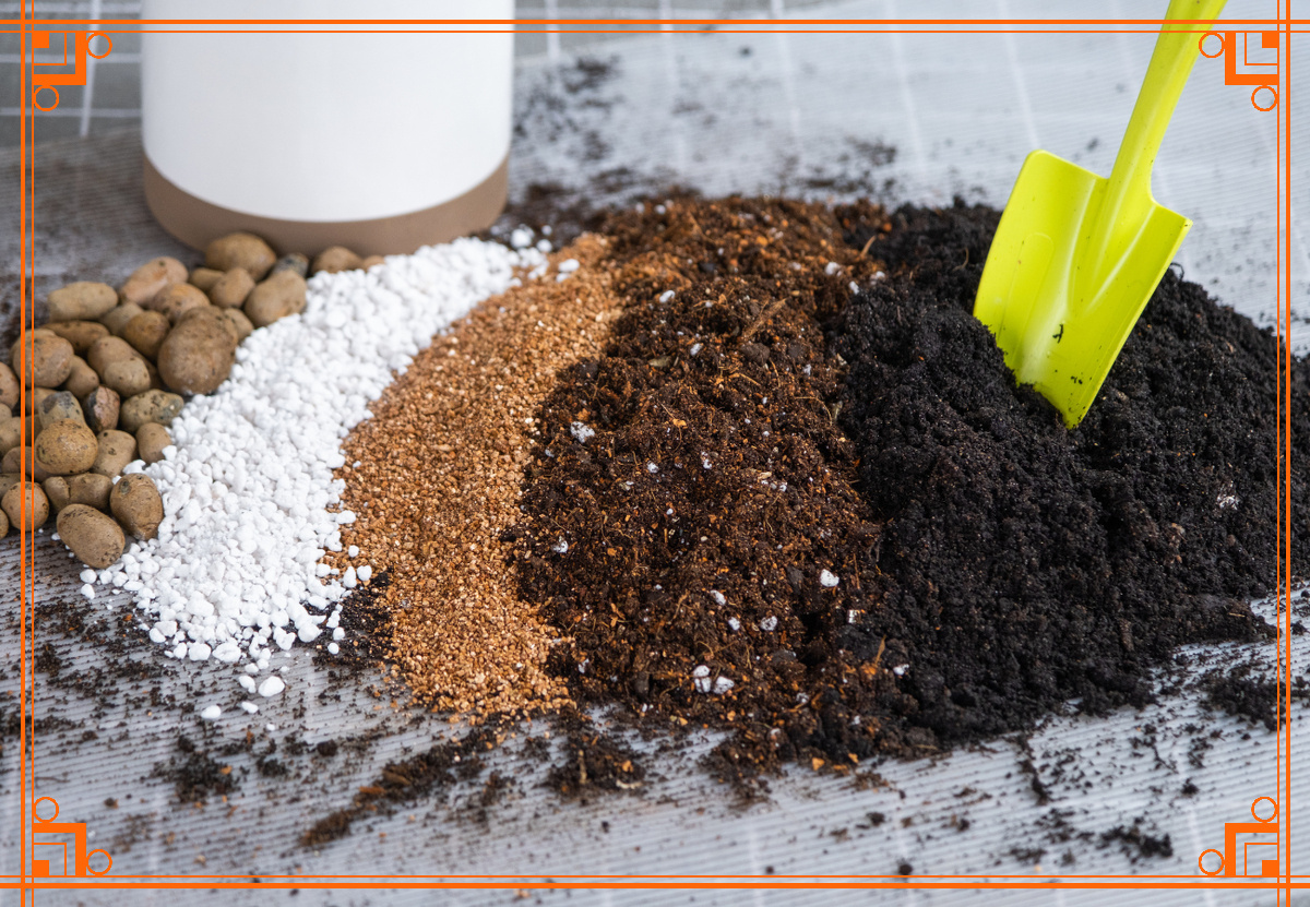 Фото из интернета. грунты для выращивания рассады