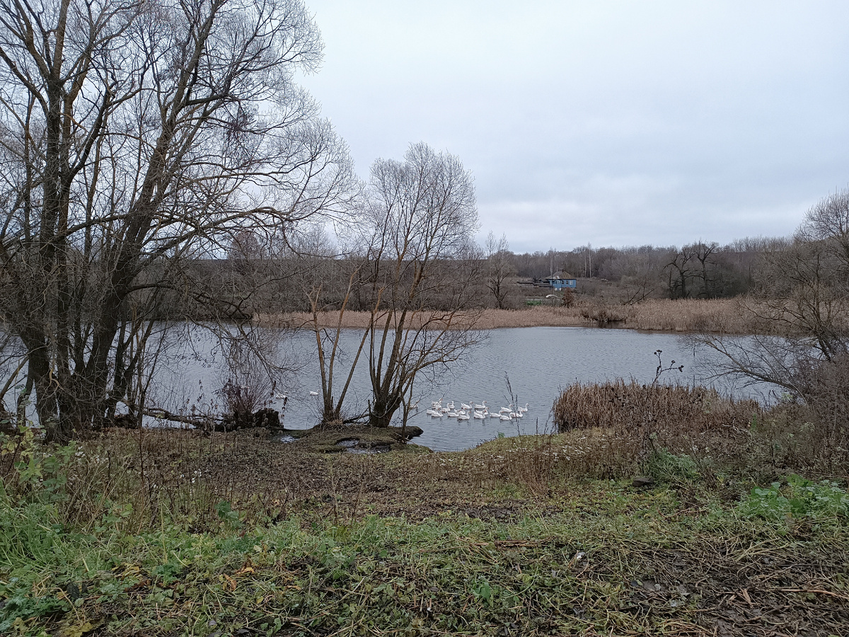 Утро пятницы