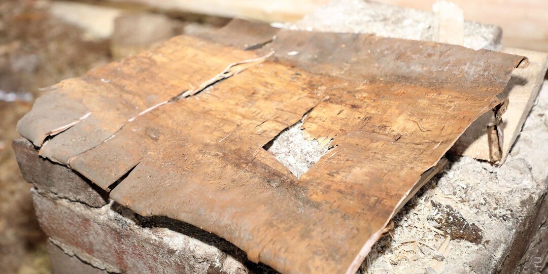 Береста вместо рубероида: старинный способ, который работает лучше современных