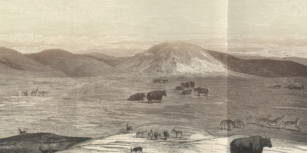 Как Николай Пржевальский изучал Тибет и что он там обнаружил