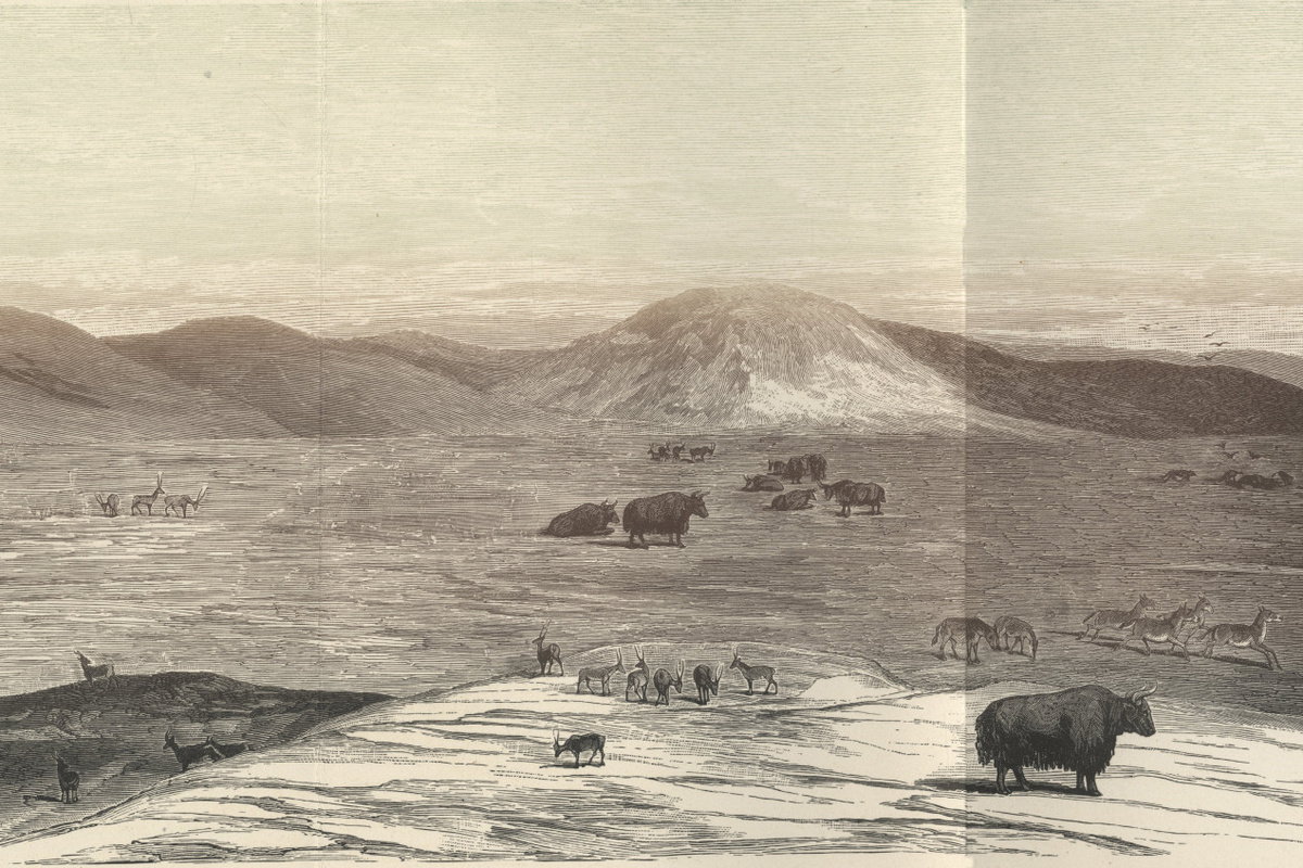 Рисунок В. И. Роборовского из Второй Тибетской экспедиции. Фото: Научный архив РГО