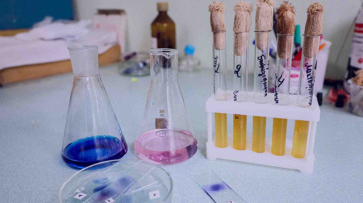    Фото: Global Look Press / Елена Майорова