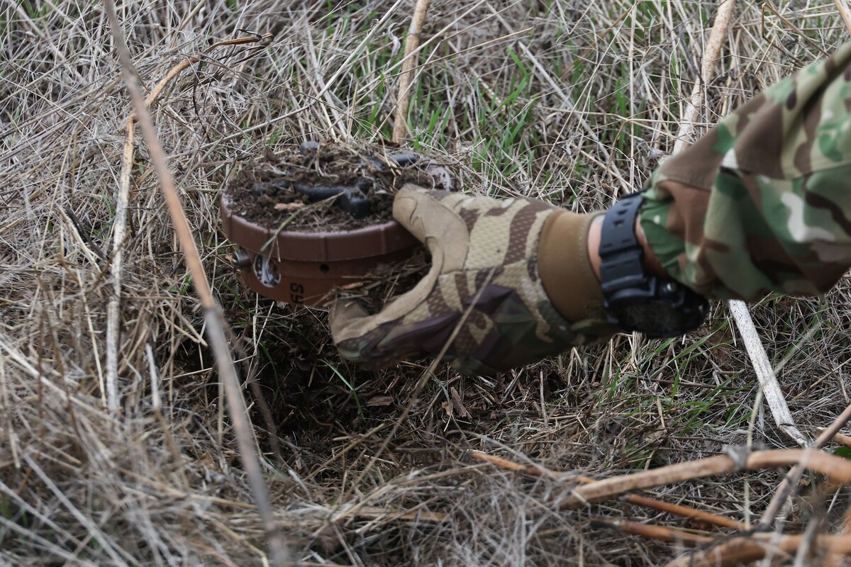     / Источник: © Александр Полегенько/ТАСС