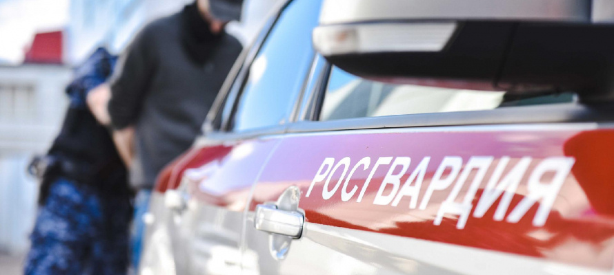    фото: © Пресс-служба Росгвардии МО