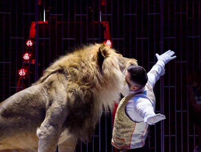    Фото предоставлено Цирком Влада Гончарова