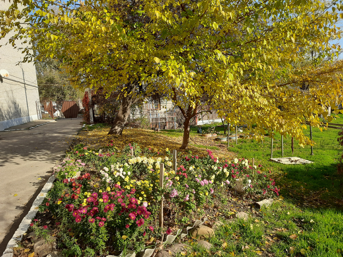 А у нас во дворе... 14 ноября