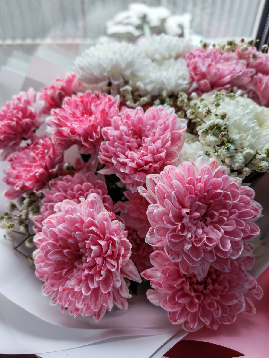 Личное фото автора канала