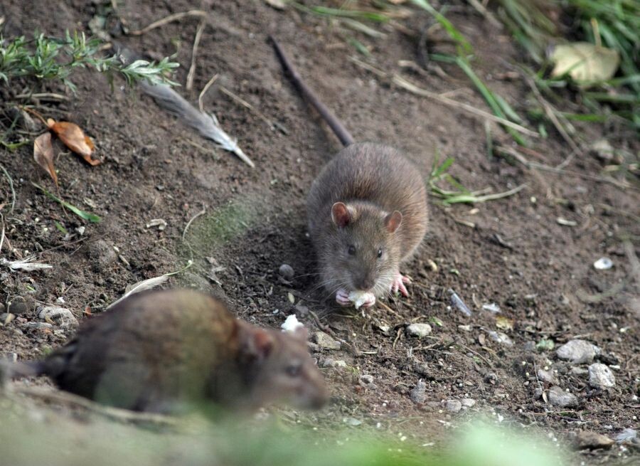     / Источник: © Алексей Даничев/РИА Новости