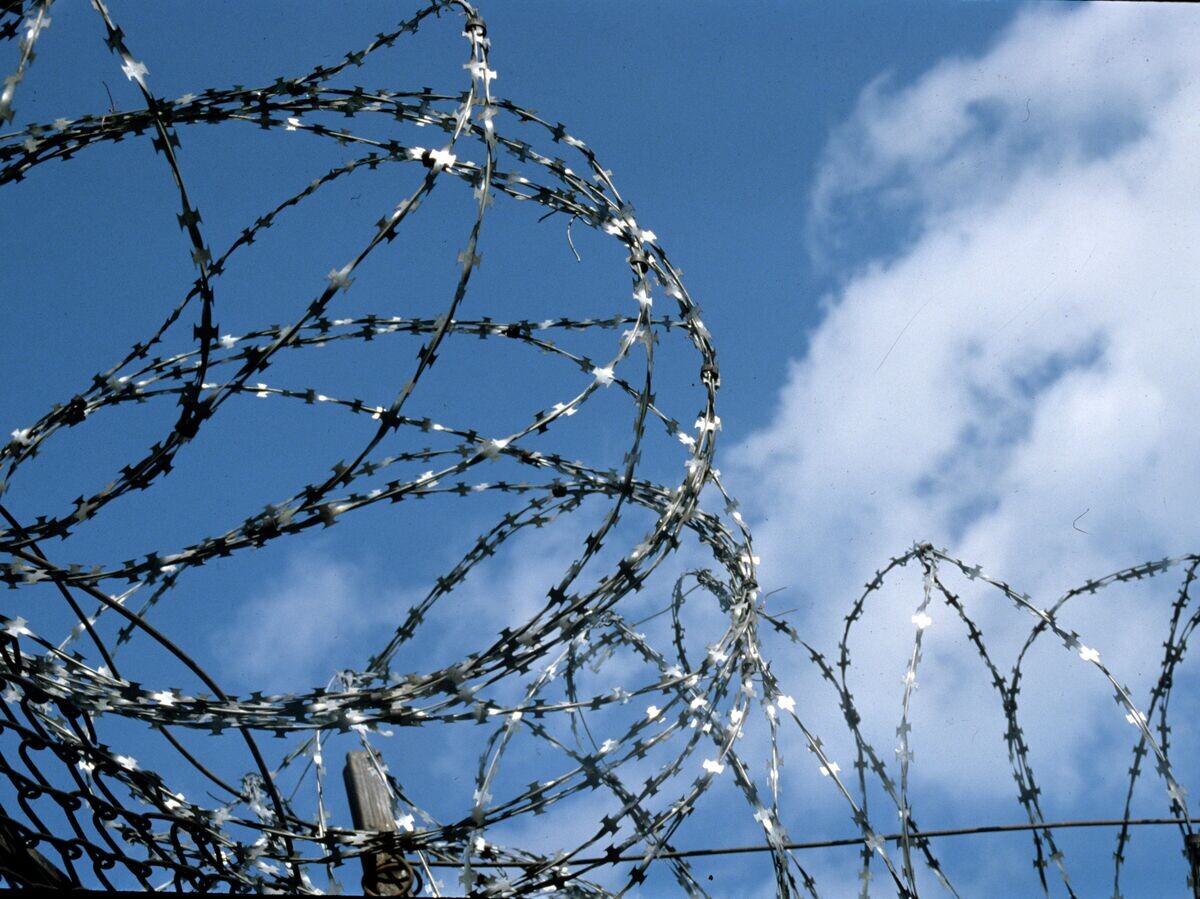    Колючая проволока© РИА Новости / А. Нагибин