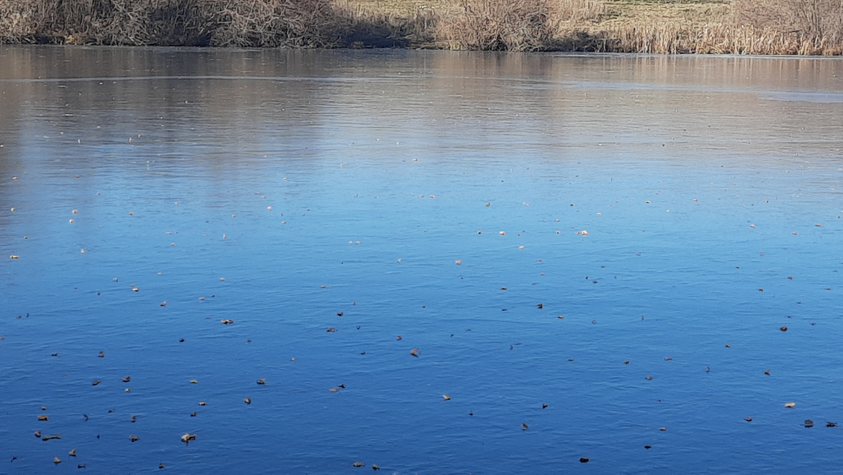 Река Макаров