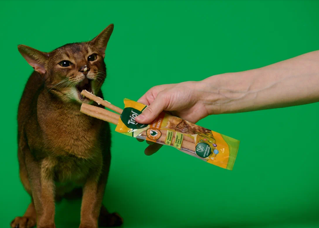 Кстати, многие кошки неохотно принимают угощение из рук людей, которые не вызывают у них симпатии. На фото — лакомство для кошек Triol «Аппетитные колбаски из курицы с треской».