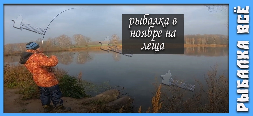 Лещ в ноябре. Секреты поимки царской рыбы в ледяной воде, почему нужно ловить именно сейчас.