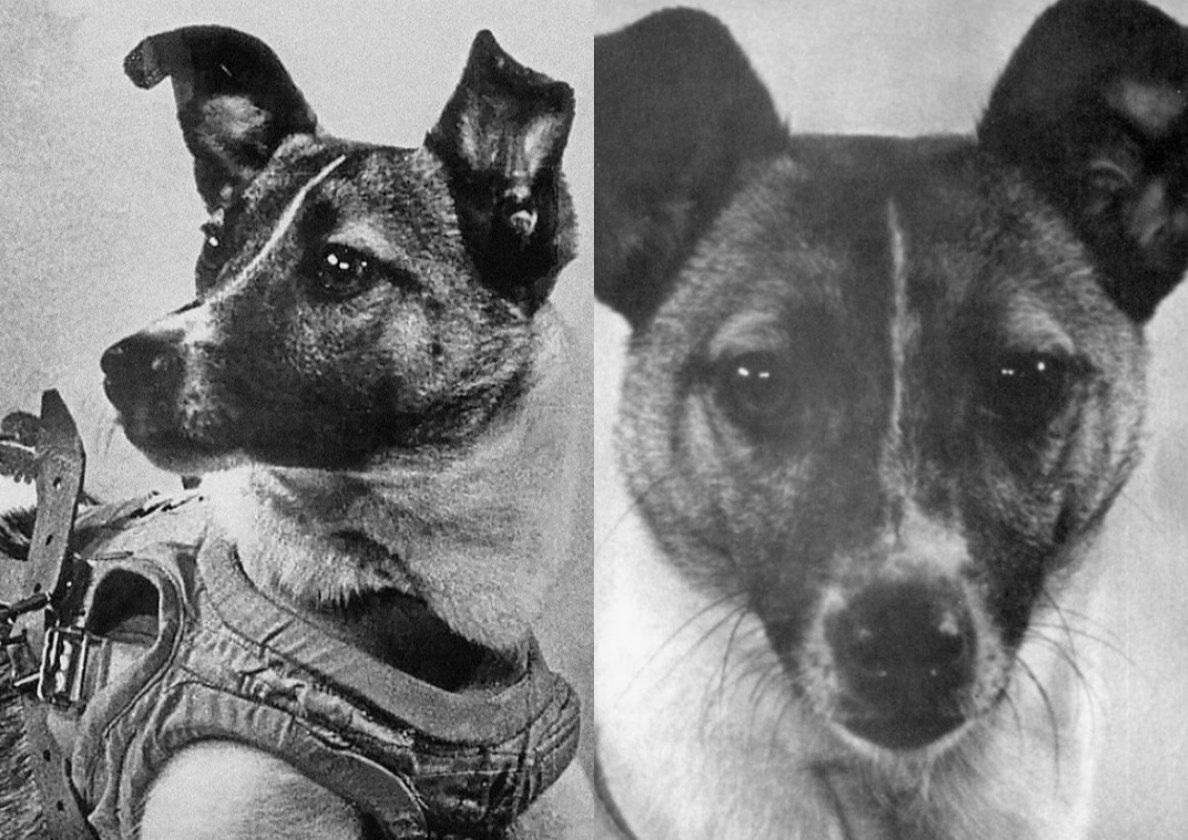 она не знала, что ее ждет