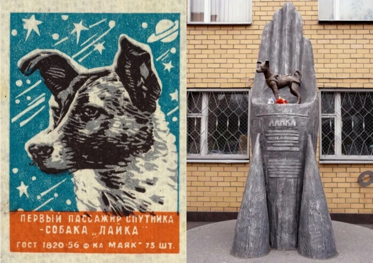 в память о Лайке