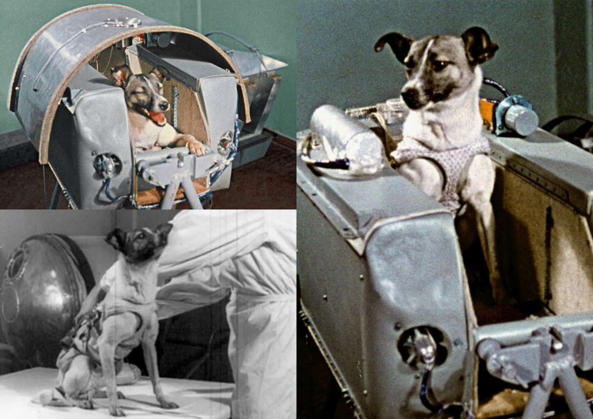 подготовка к полету