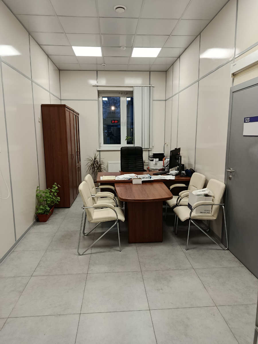 Кабинет мой рабочий. Герани перезимовывают, летом они на клумбе росли. Драцена с Тамбова приехала при переезде