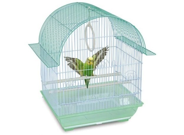 На фото – клетка Triol 1600Z с габаритами 345х260х440 мм, которая станет комфортным и безопасным жилищем для волнистого попугайчика.