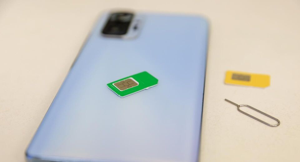    Shatokhina Natalia/news.ru / www.globallookpress.com