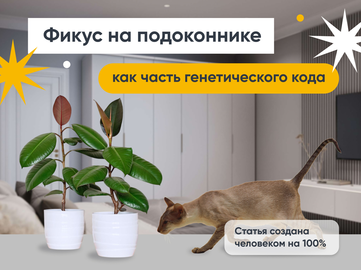 То, что должно быть в каждом доме!