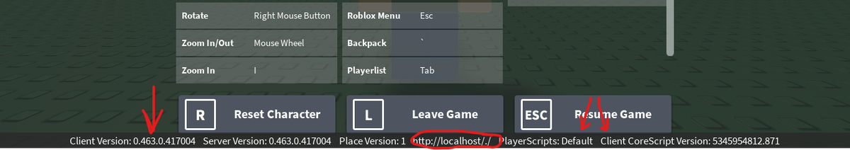 В окне Help показываются данные об игре, наглядно видно что сервер запущен на localhost, ClientCoreScripts и PlayerScripts имеются.
