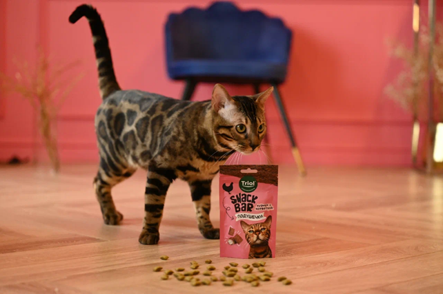 А еще лакомство — это просто вкусно и приятно. Угощая питомцами любимыми вкусняшками, вы привносите в его жизнь положительные эмоции и яркие вкусовые ощущения. 