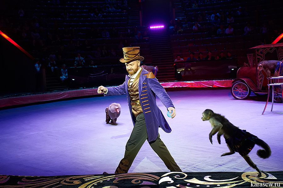 Андрей Теплыгин и его дрессированные обезьяны, фото отсюда: https://www.karasew