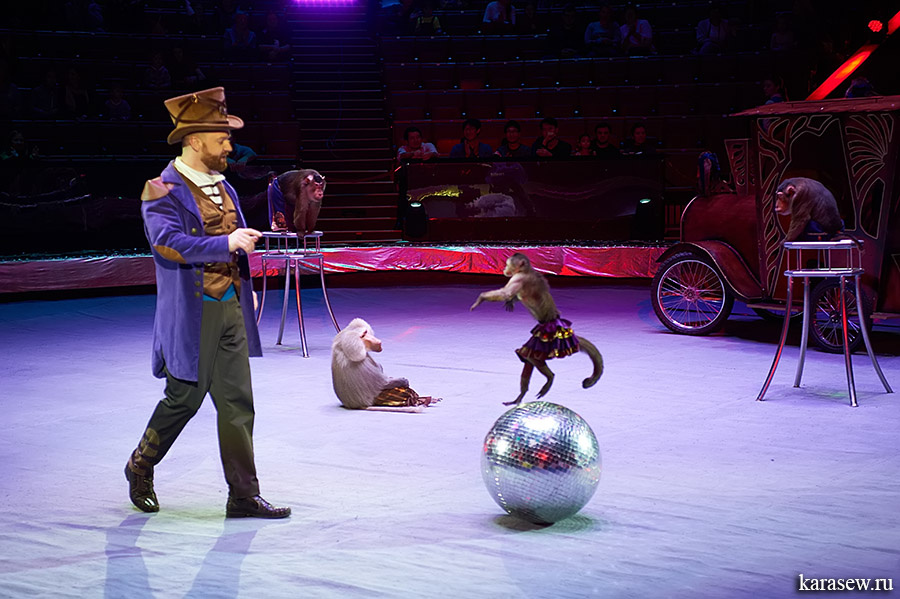 Андрей Теплыгин и его дрессированные обезьяны, фото отсюда: https://www.karasew