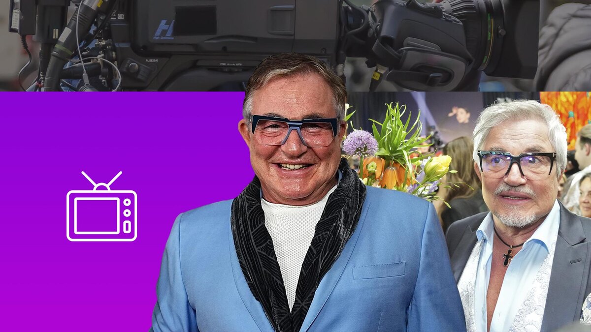 Коллаж 78.ru: ИЗВЕСТИЯ/Дмитрий Коротаев, ИЗВЕСТИЯ/Павел Волков, pxhere.com, flaticon.com/Mayor Icons