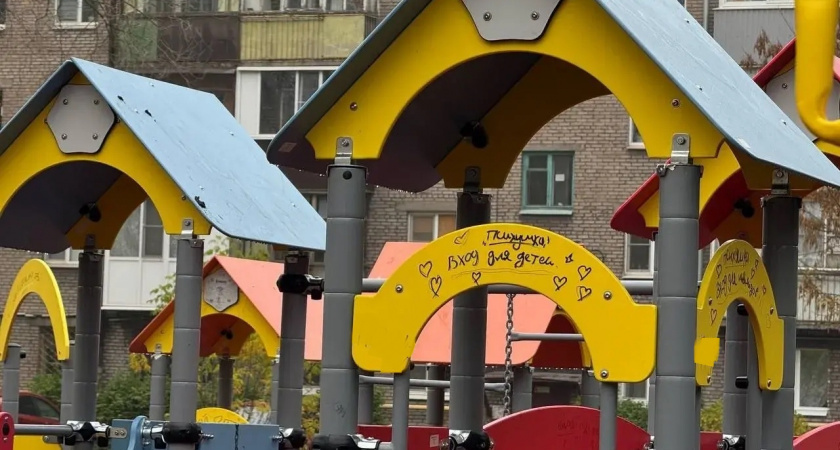    Жителей Вологодской области призвали ответственно относится к новым детским площадкам