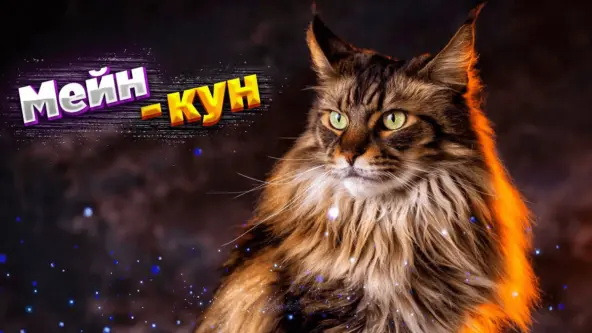 Фото из интернета