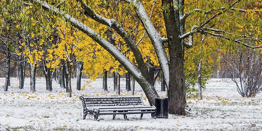    Фото: Москва 24/Лидия Широнина