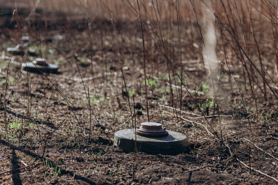    Shutterstock/FOTODOM