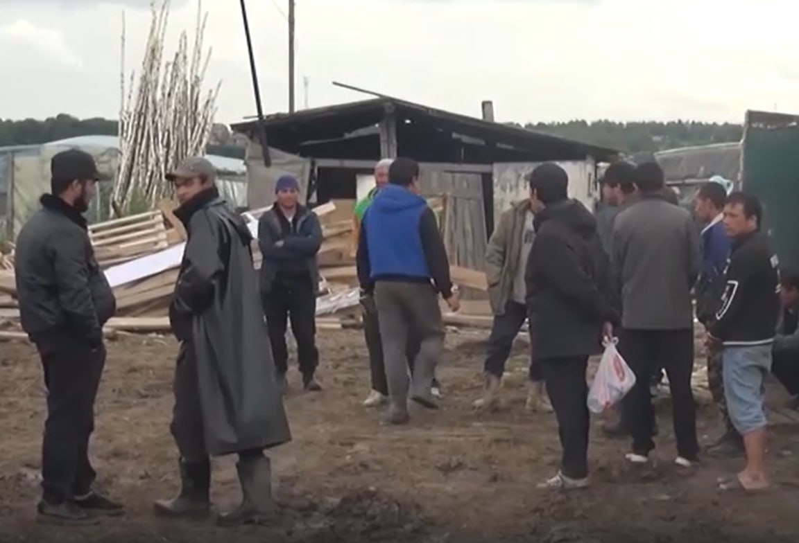 Фото: Prt Scr rutube.ru / МВД МЕДИА