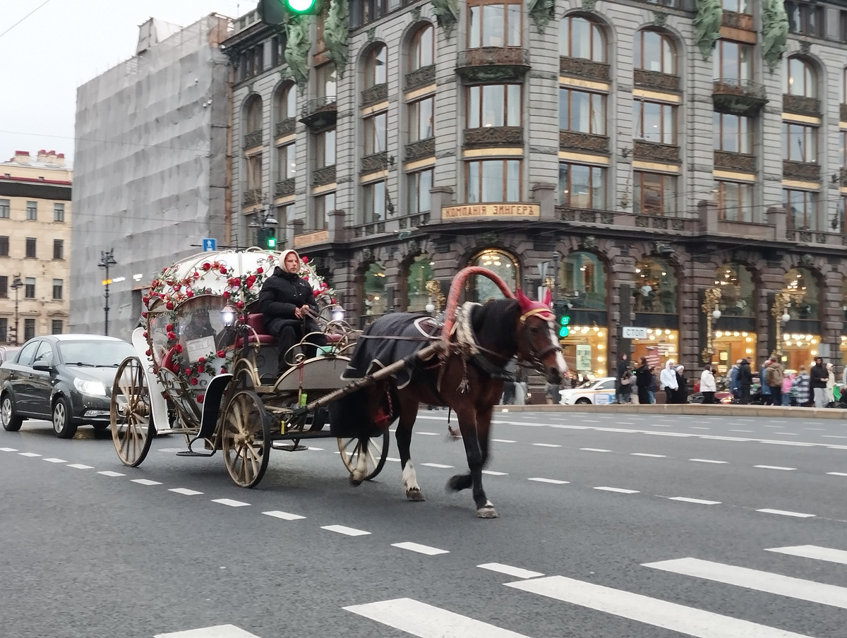 Невский проспект