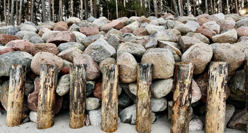    Уникальная особенность Калининградской области: агроном рассказал, чем регион удивляет фермеров