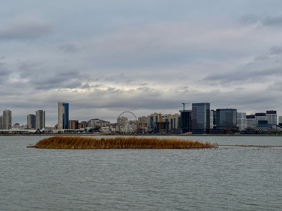 Портал «Моя Казань» / Диана Жиленкова