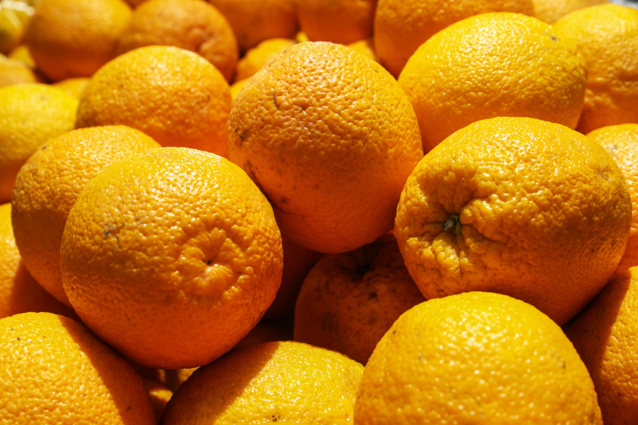    Сергей Булкин/NEWS.ru