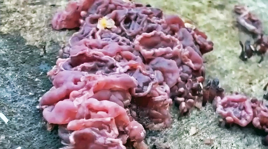    © АО "ТВ Центр"