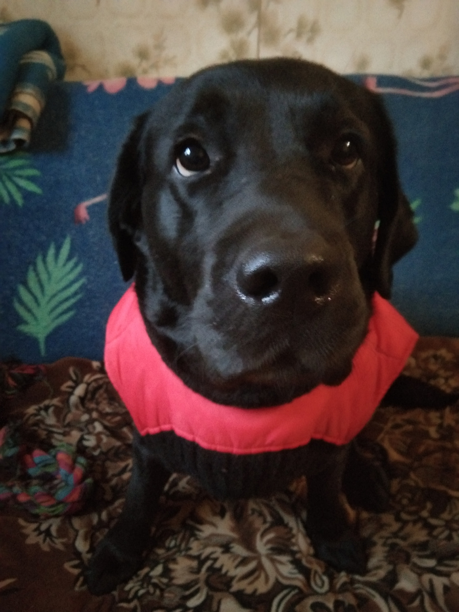 Фото автора. Эксклюзивно!Только для Вас!я в одежде!