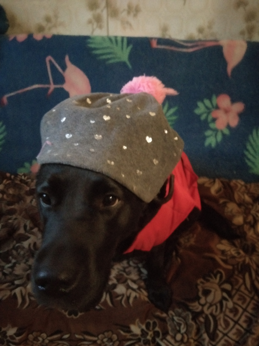 Фото автора. 