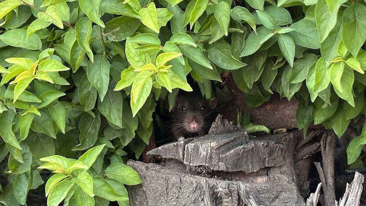    Фото: телеканал «Краснодар»