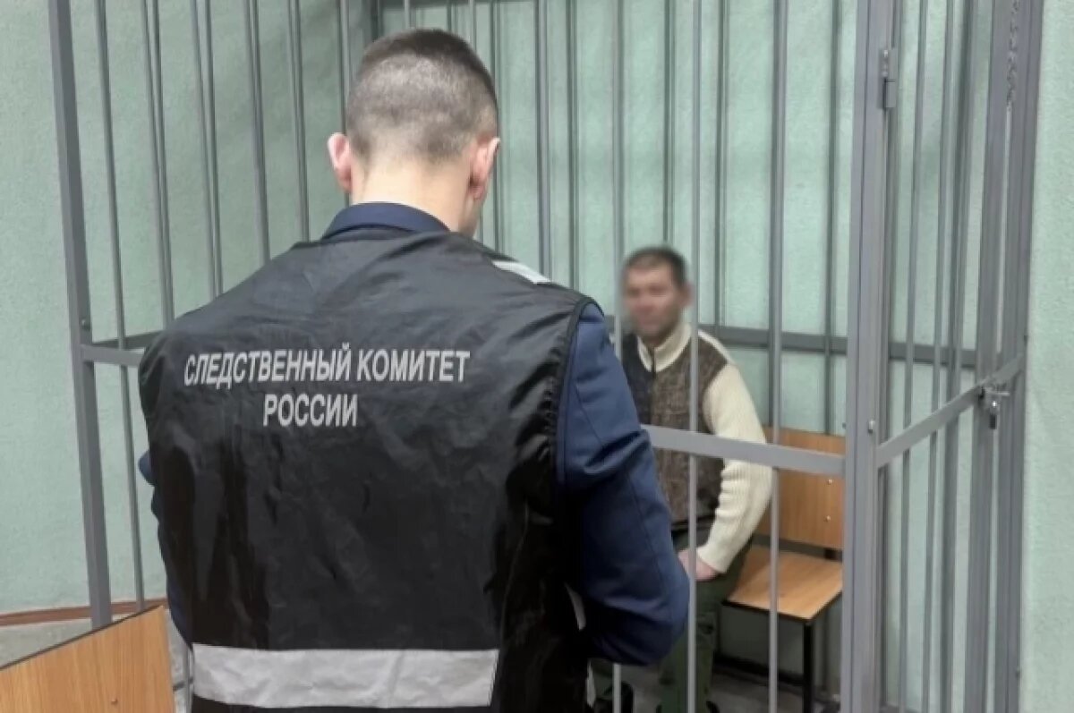    Обвиняемого в убийстве брянца заключили под стражу