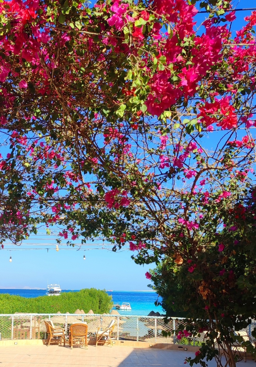 Ноябрь в Египте выглядит вот так +28 и море... 