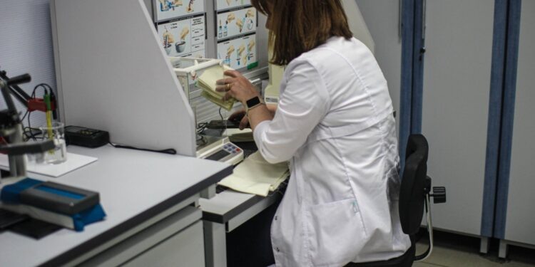    Илья Тушев / Вести Подмосковья