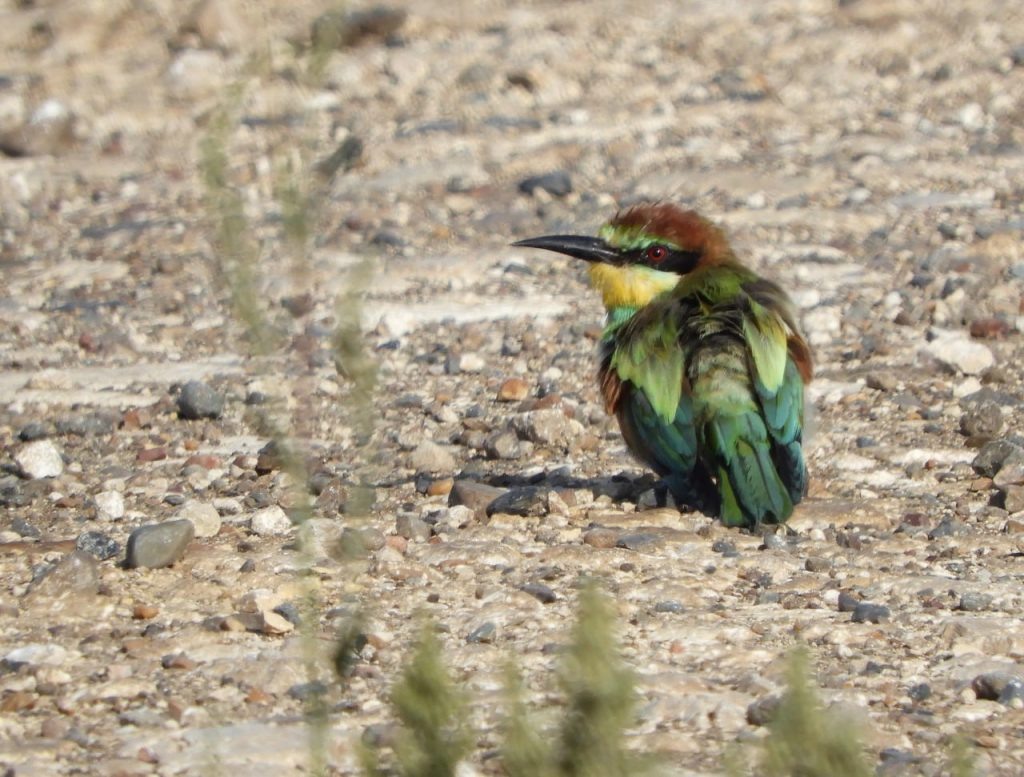 
📷
📷
📷
📷
📷
