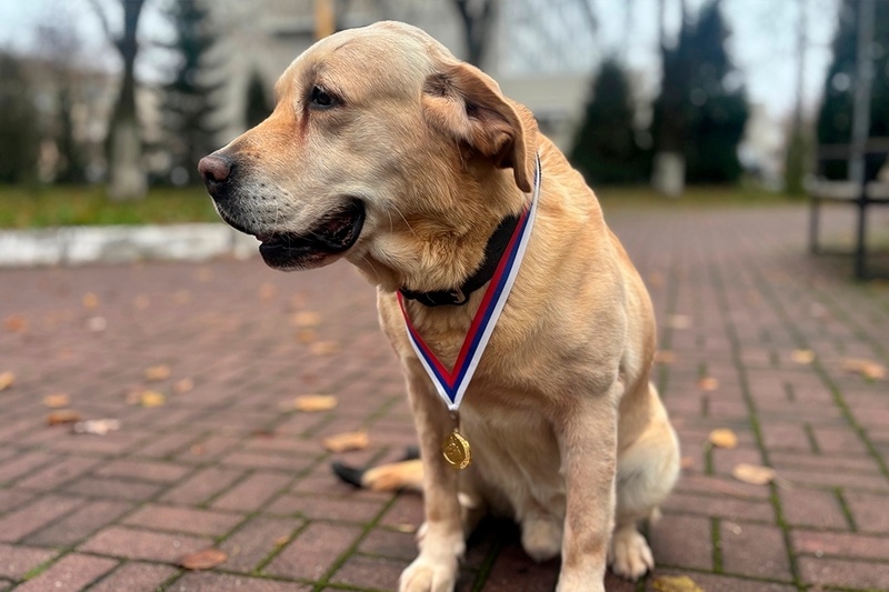    Бакс прослужил в полиции восемь лет, работал вместе с начальником центра кинологической службы Борисом Краснобаевым