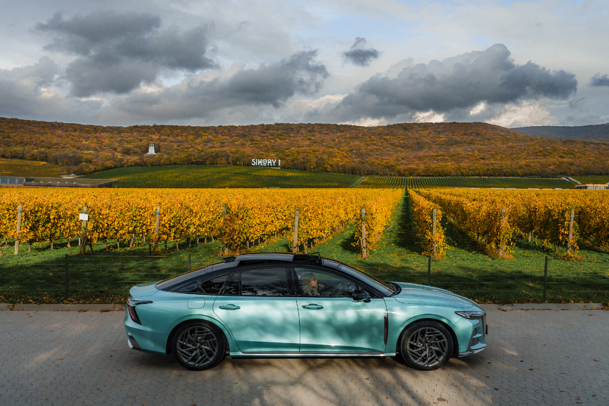 Винодрадники Краснодарского края и HONGQI H6